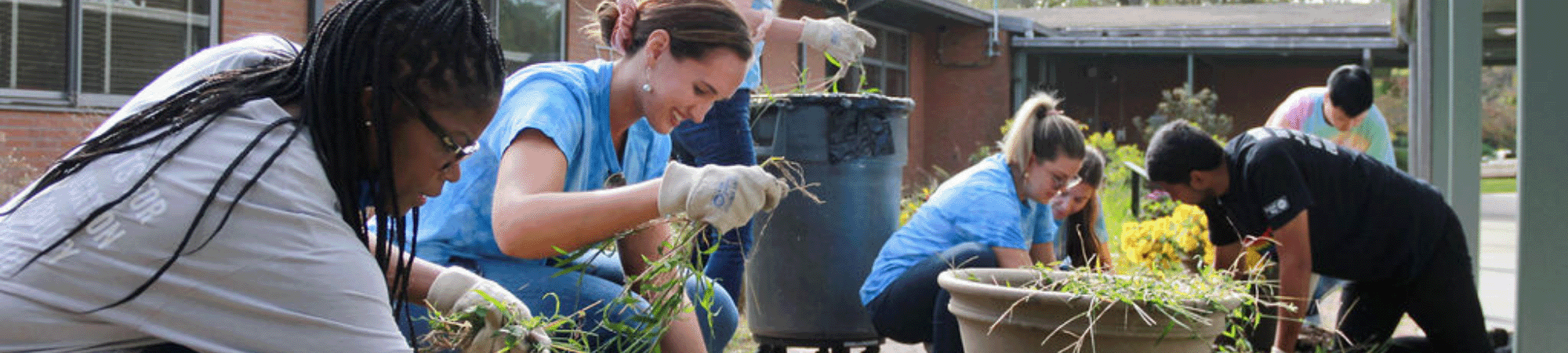 Volunteers working in a garden