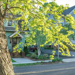 neighborhood street